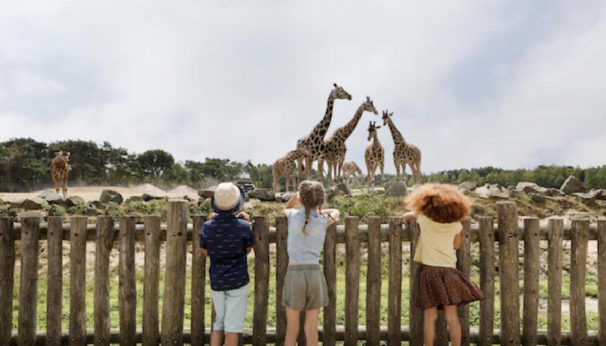 29, Natuurlijk Gelegen Nabij Efteling En Beekse Bergen, Airco & Prive Parkeren Inbegrepen! Oisterwijk Kültér fotó
