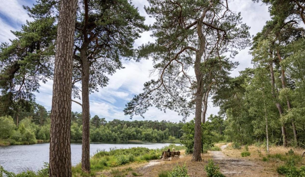 29, Natuurlijk Gelegen Nabij Efteling En Beekse Bergen, Airco & Prive Parkeren Inbegrepen! Oisterwijk Kültér fotó